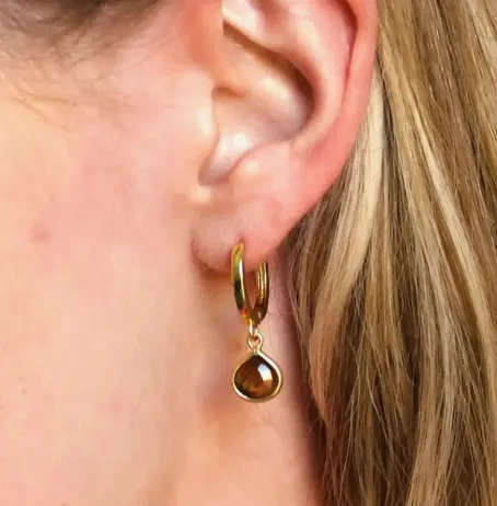 Silver Wren Tiger's Eye Huggie Hoop Earrings